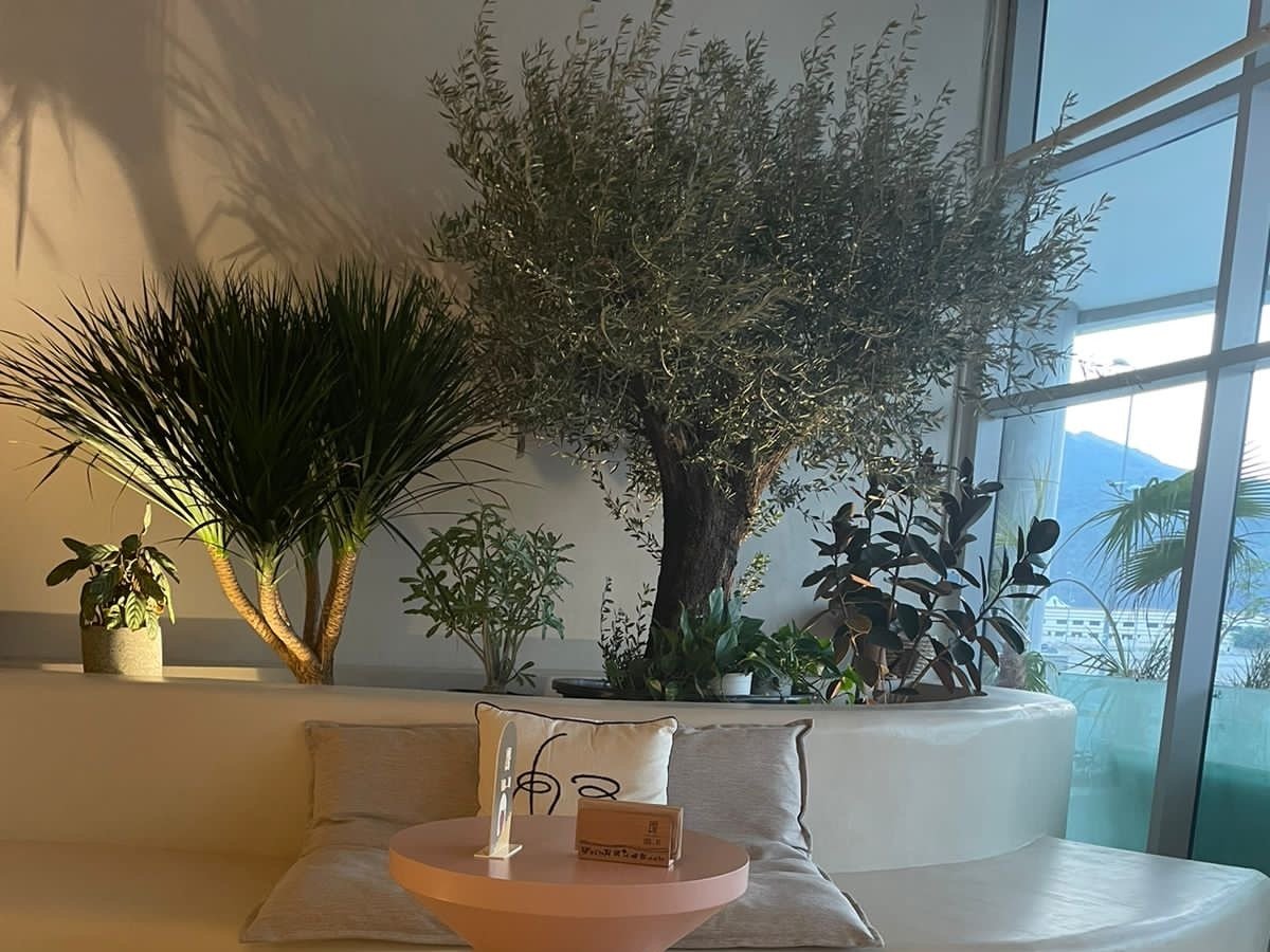 Top Fit Out Company in Dubai | Complete Guide to Interior Fit Out Services